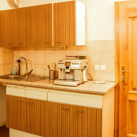 Erban 招待所 Špindlerŭv Mlýn